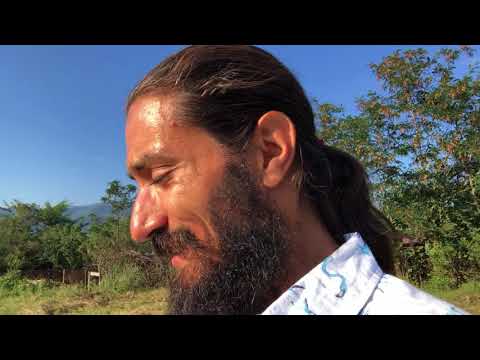 Видео: Как да се хранят гъски