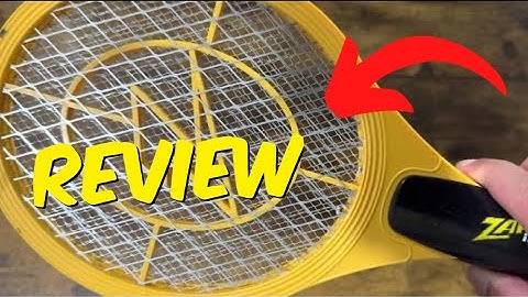 ZAP iT! Electric Fly / Mosquito Swatter Racket Review