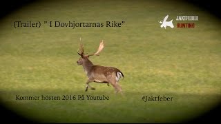 Jaktfeber I Dovhjortarnas Rike