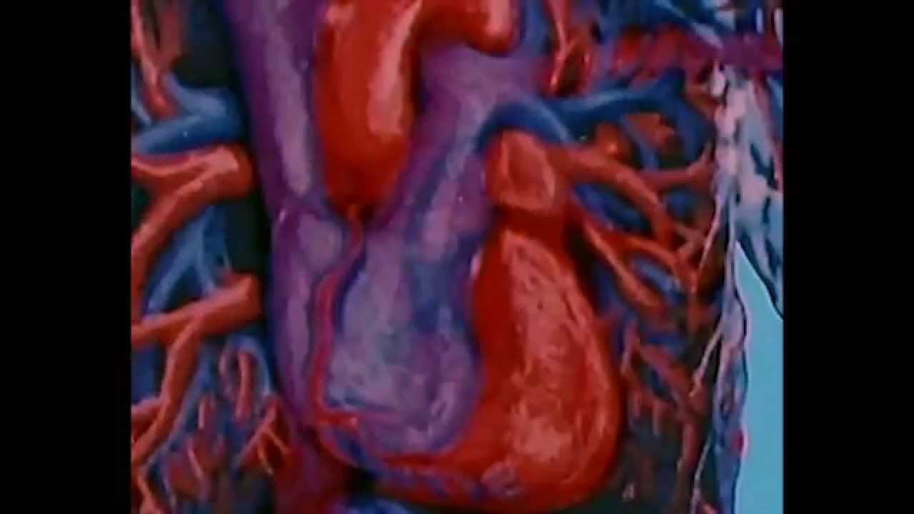 Aku - Red Lit Remote 1995