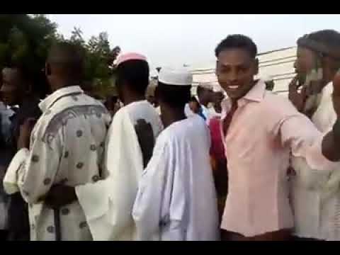 تراث قبيلة الجوامعة الدودية الدونكي غرب كردفان 13