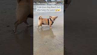 Beach Babepls Dont 4Get 2 Subscribe