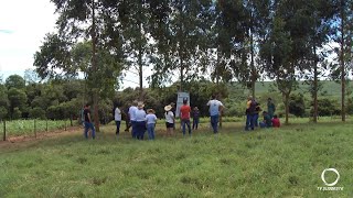 Dia de Campo Leite a Pasto, silagem de qualidade é...