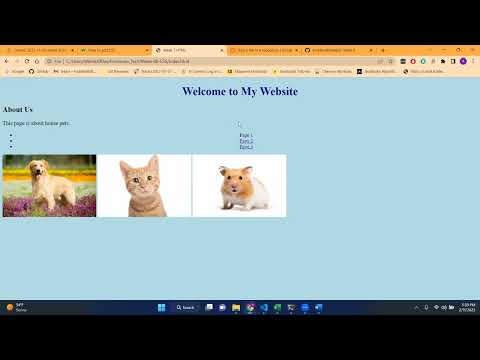 Promineo Tech Week 8 CSS