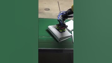 AI Picking white-on-white Parcels from Bulk