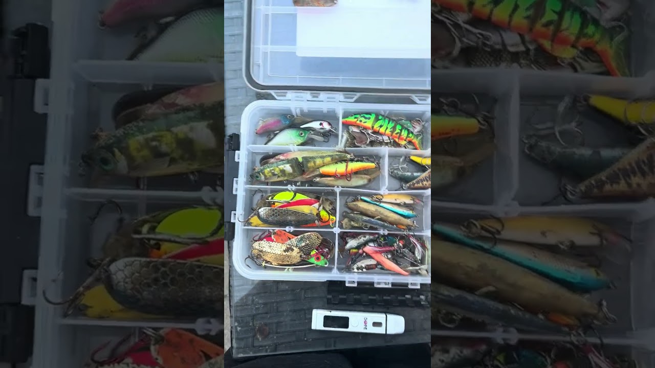 Lure hunting finds : Part 2 #fishing