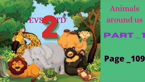 Lesson_4 | Animals around us | EVS | Class 2 | Samacheer syllabus |Part 1 |