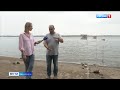 В два раза ниже нормы: гидрологи Хабаровска фиксируют падение уровня воды в Амуре