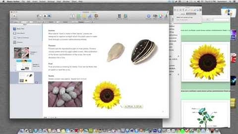 iBook Author for Mac