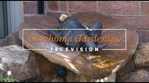 Oklahoma Gardening October 28, 2023