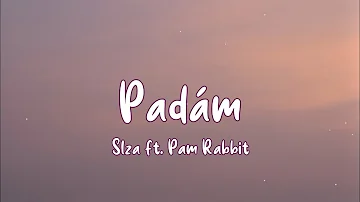 Slza - Padám ft. Pam Rabbit (text)