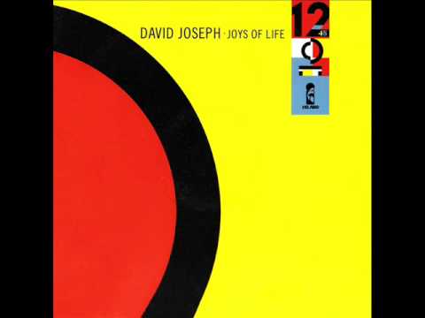 David Joseph - Joys of Life