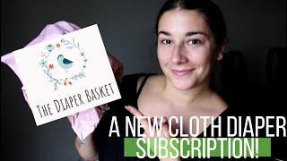 The Diaper Basket Cloth Diaper Subscription Unboxing Fluff Mail
