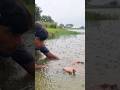 Amazing Fishing Video #fishing #reels #river #shorts #finger_hook_fishing