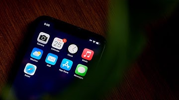 Apple, Tesla Investor Reacts to Musk’s App Store Claims