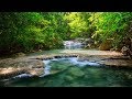 Видео . Тропическая красота Тайланда. Страна вечного лета. Документальный фильм