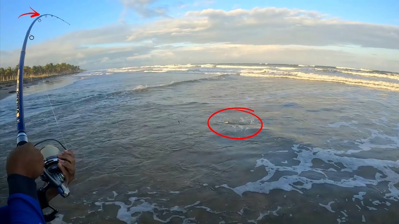 INCRÍVEL!!! NUNCA VI UM DESSE TAMANHO NA PESCARIA DE PRAIA!!! Pescaria Na Caueira
