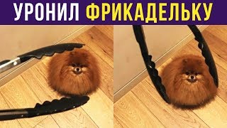 Приколы. УРОНИЛ ФРИКАДЕЛЬКУ | Мемозг #118 Приколы. УРОНИЛ ФРИКАДЕЛЬКУ | Мемозг #118