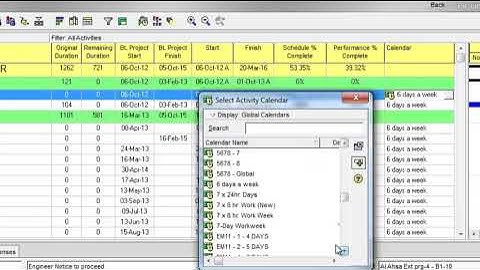 How to use fill down and its purpose in primavera p6@100OCLOCK
