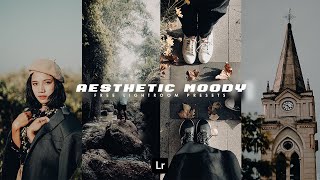 Aesthetic Moody Presets - FREE LIGHTROOM PRESETS DOWNLOAD - Mobile Lightroom Tutorial screenshot 4