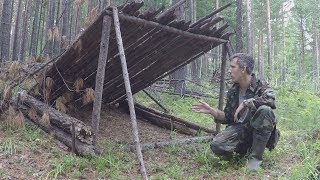 В тайгу за дикоросами, нашёл старое зимовьё, галечник для глухаря.