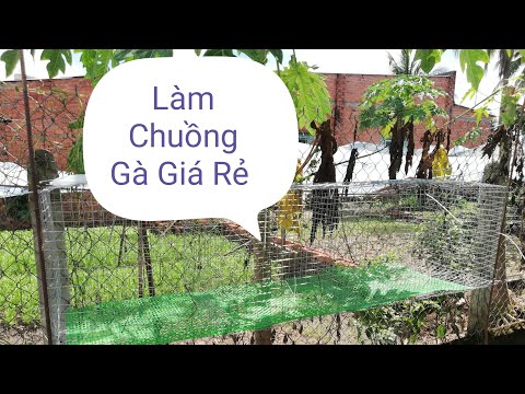 Chia Sẽ Làm Chuồng Gà Đường Kín 1m Chỉ Với Giá 150k 1 Cái Vừa Đẹp Vừa Rẻ Và Bền Lại Đơn Giản.