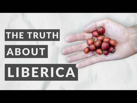 The Truth About Liberica Coffee | Interview: Dr. Steffen Schwarz