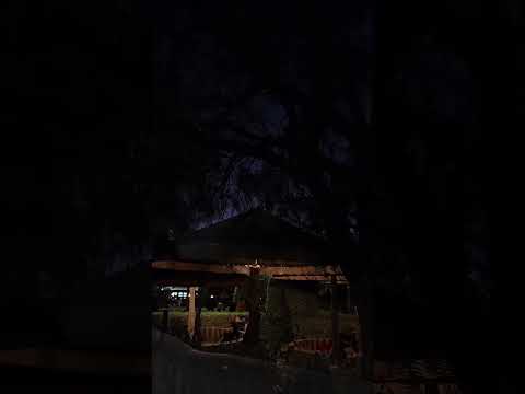 والله شكله من البدايه خاين تصويري راشد الماجد والله شكله من البدايه خاين