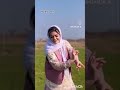کسی میدونه سینی و سبزه رسم کجای شماله کسی میدونه سینی و سبزه رسم کجای شماله