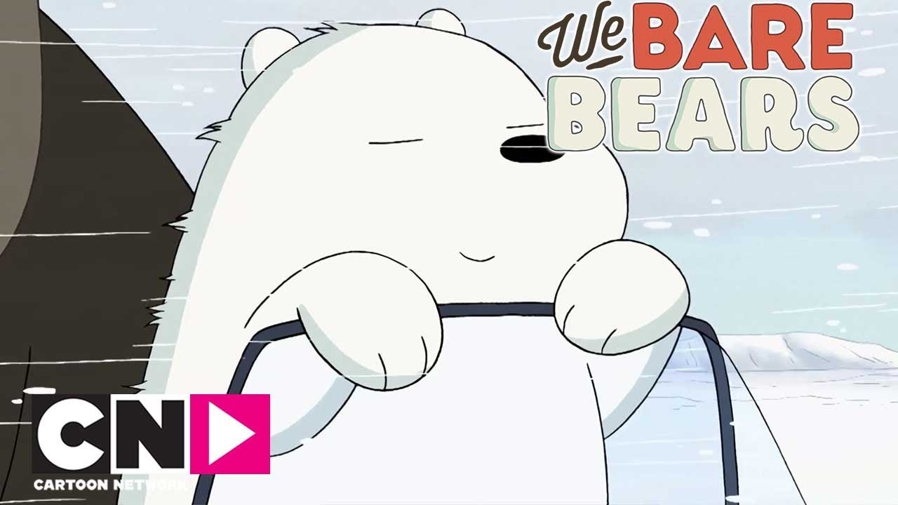 Polar bear Chloe and Ice Bear Cartoon polar bear animals friendship  fictional Character png  PNGWing