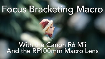 Focus Bracketing Macro with the Canon R6 Markii