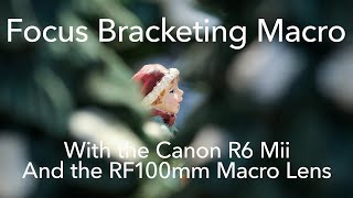 Focus Bracketing Macro with the Canon R6 Markii