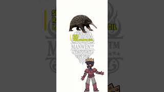 #steam #chatgpt #papua #echidna #hewan #shorts #papuaindonesia #viral #pegunungan  #sentanijayapura
