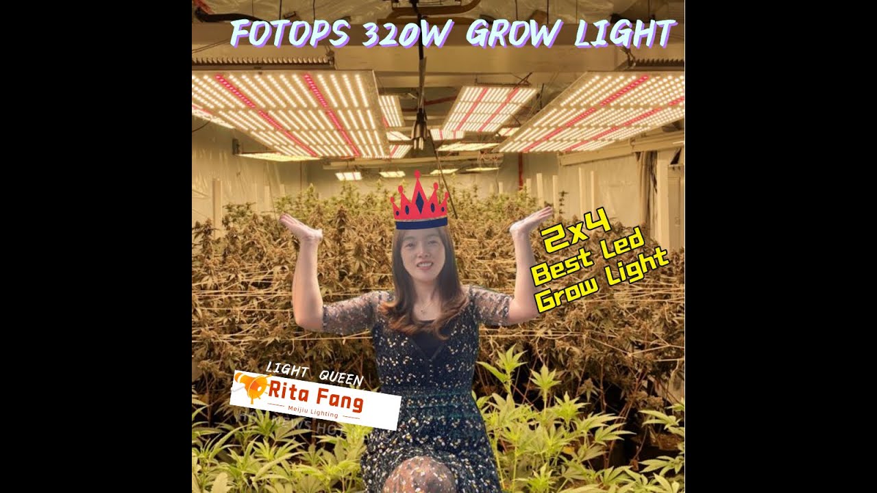 Best 2x4 quantum board led grow lights 2021