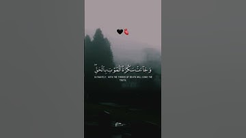 استغفروا 🤍 #قرآن #اكسبلور #تلاوة_خاشعة #آلاء_السليم