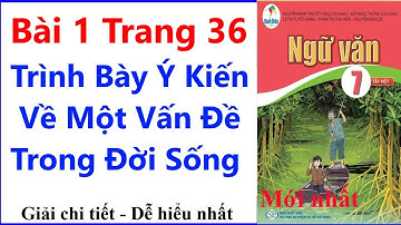 Ngữ Văn 7 Bài 1 Trang 36 | Trình Bày Ý Kiến Về Một Vấn Đề Trong Đời Sống | Cánh Diều
