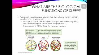 Introduction to Neuroscience: Sleep and Biological Rhythms