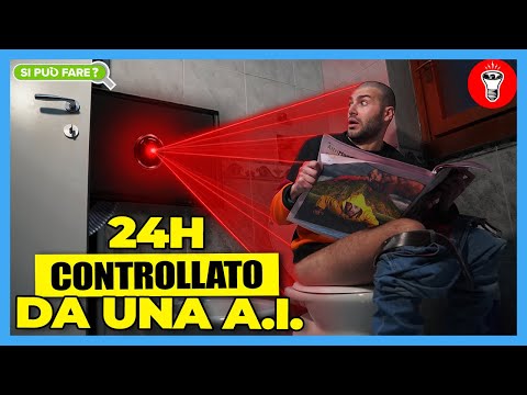 Video: Perché i miei budgies combattono?