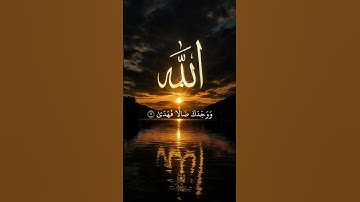 أجمل تلاوة للقرآن الكريم بصوت مؤثر يلامس القلوب
