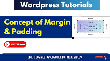 Elementor Margin and Padding [EXPLAINED] | Elementor Tutorials For Beginners