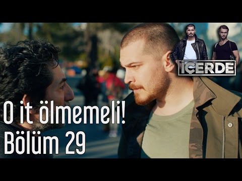 İçerde 29. Bölüm - O İt Ölmemeli!