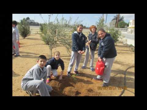 Βίντεο: Βιοενέργεια των δέντρων. Μέρος 3