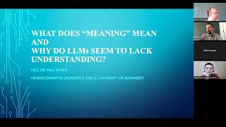 Paul Buzilă, What does 'meaning' mean and why do LLMs seem to lack understanding