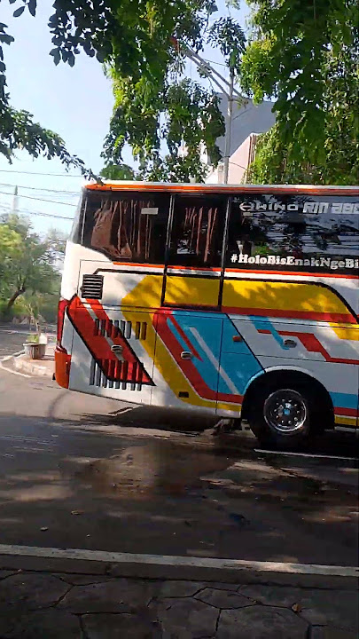 Bus Rosalia indah mulai mencuri perhatian para maniak bus#busmania #@faizinjuheri3248