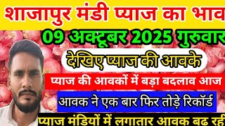 shajapur mandi pyaj avak । 09 अक्टूबर 2025 शाजापुर मंडी प्याज आवक #pyajbhav #shajapurmandi