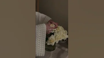وهديتني ورده بدون موسيقى ستوريات فيروز حب ورد 