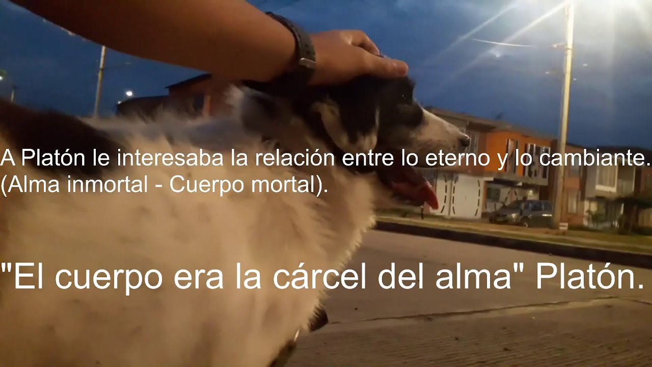 Platón 1 Parte "El cuerpo es la cárcel del alma". ¿Quién fue Platón
