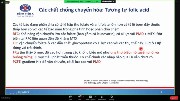 Hóa trị liệu phác đồ fralle 2000 b là gì năm 2024