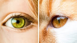 27 Fakta Seputar Dunia yang Belum Pernah Kamu Dengar