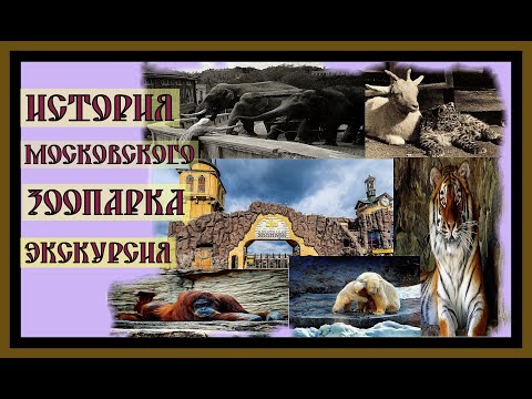 МОСКОВСКИЙ ЗООПАРК 2020г.ЭКСКУРСИЯ.History of the Moscow zoo.Excursion.#московский зоопарк#